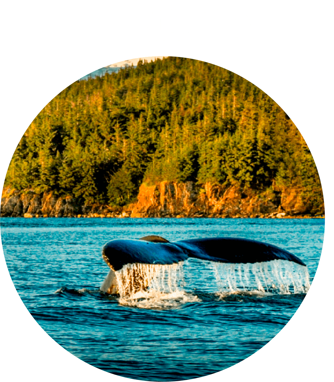 RESPECT